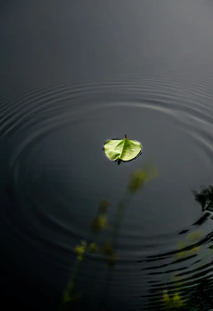 a green leaf floating on top of a body of water